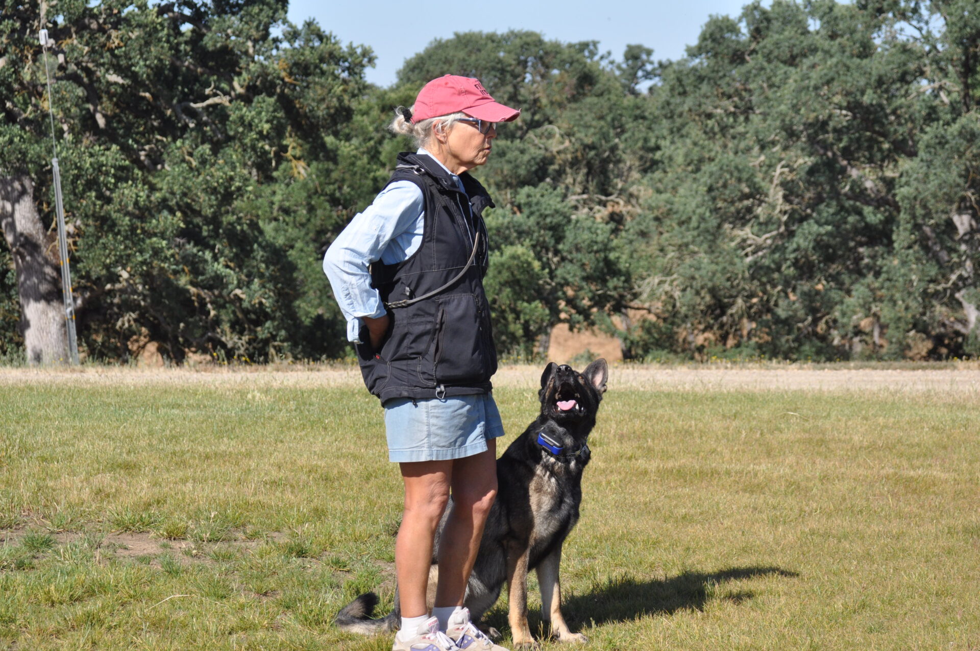dog and trainer in the ground